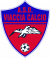 logo Viaccia Calcio 